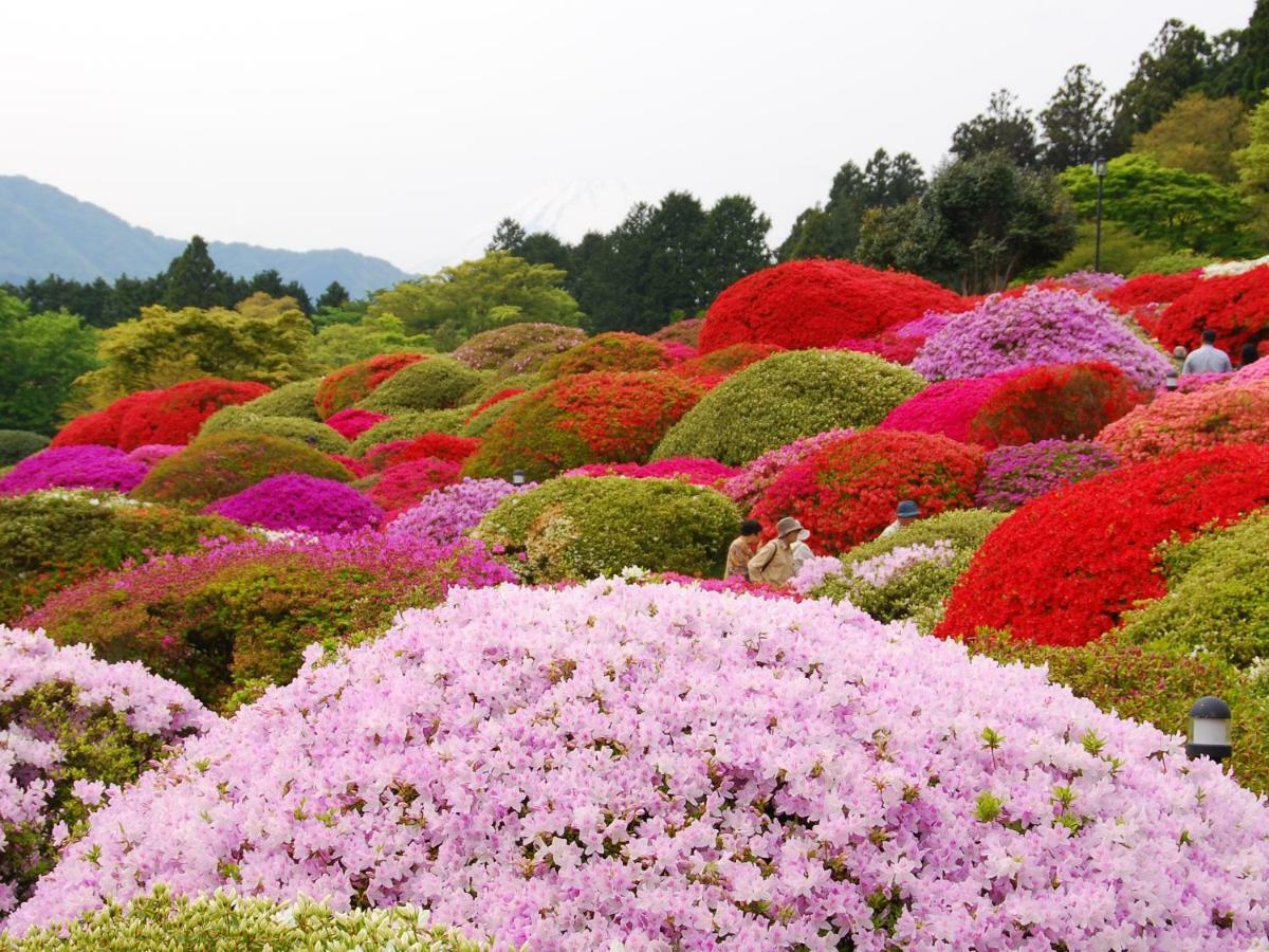 Taisho Modern Villa Zen Hakone Ngoại thất bức ảnh